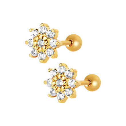 Noah Earring