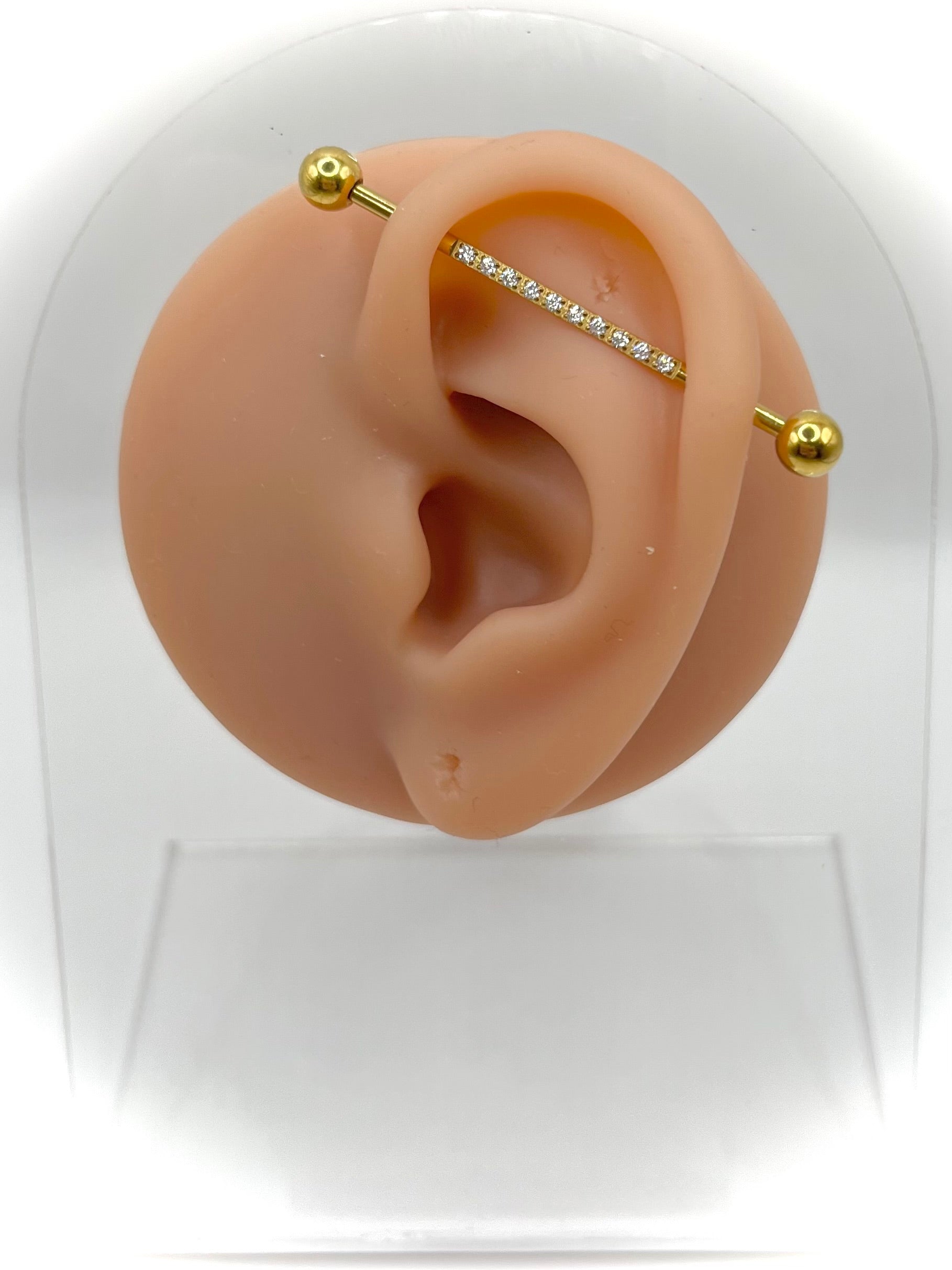 Fay Industrial Earring