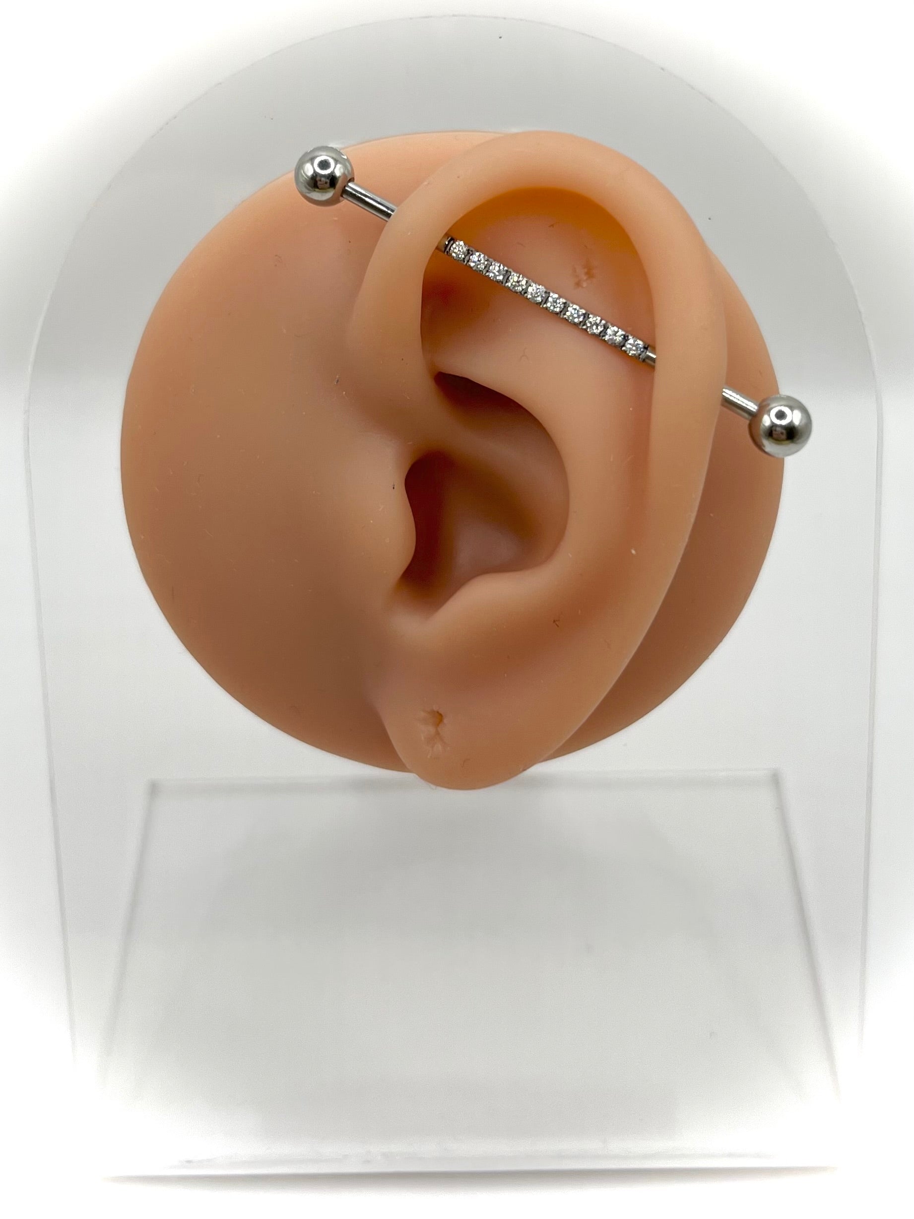 Fay Industrial Earring