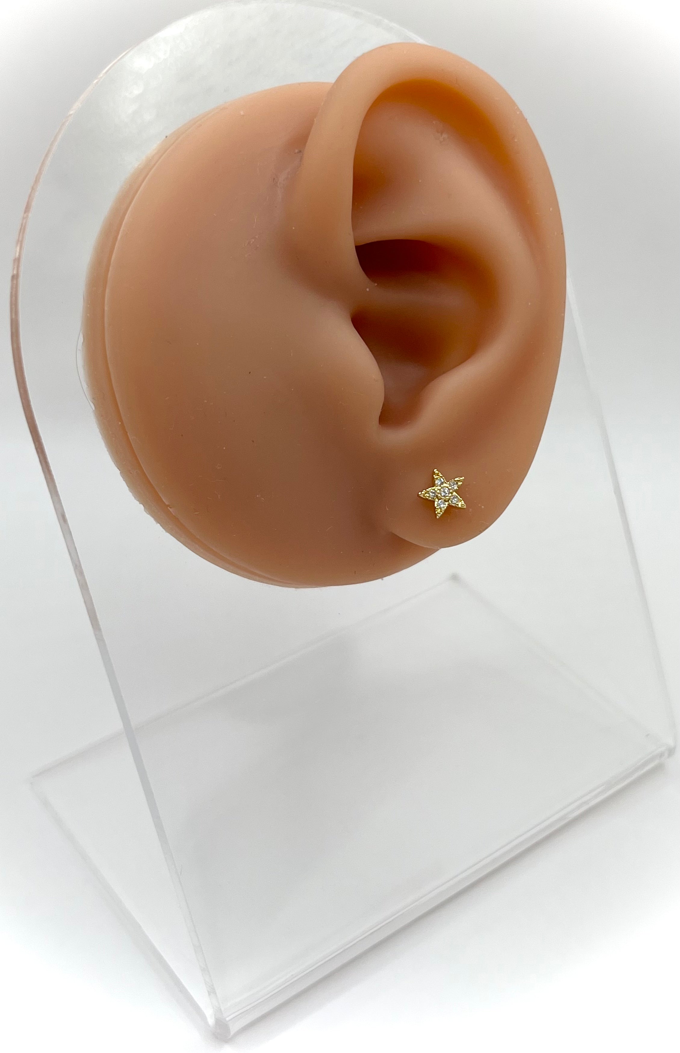 Starfish Earring