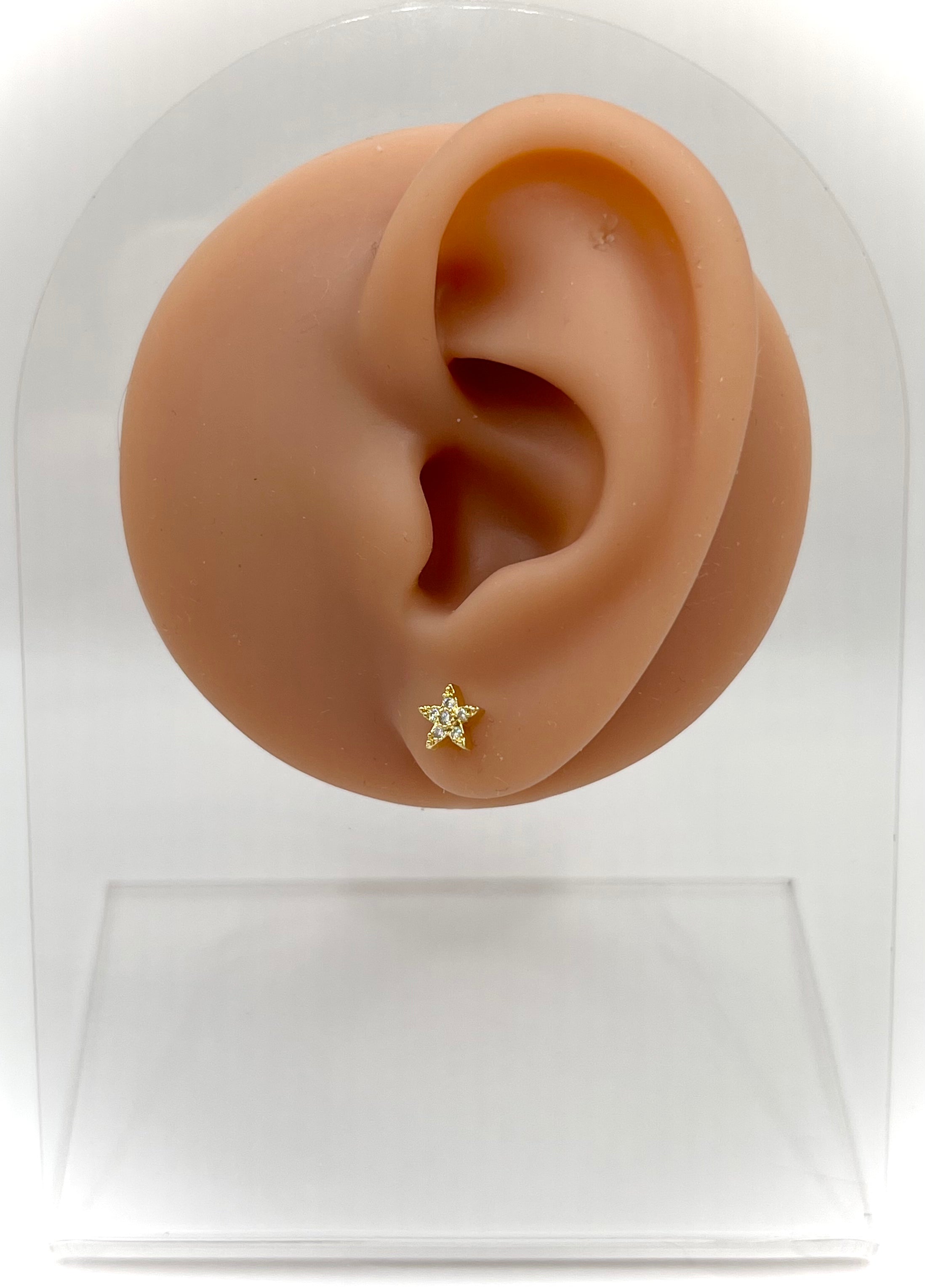 Starfish Earring