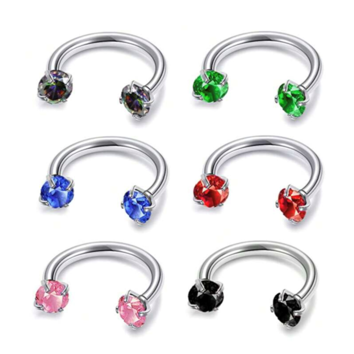 Double Crystal Horse shoe Earring