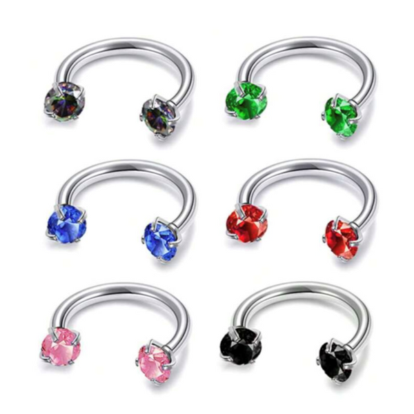 Crystal Horseshoe Earring