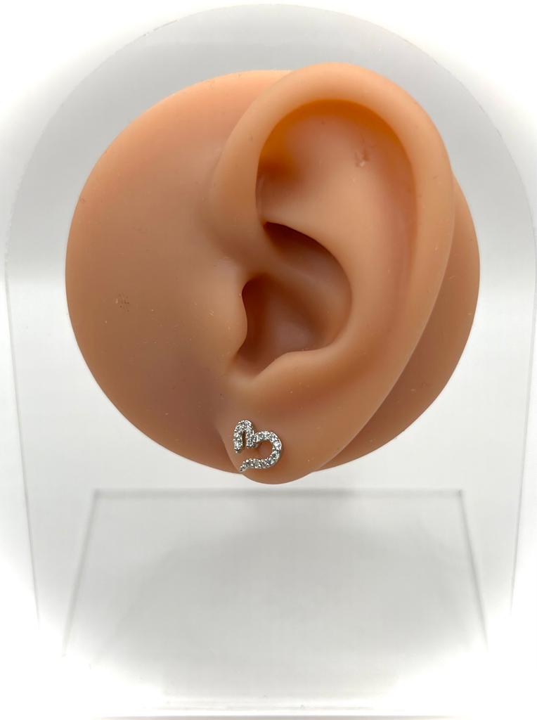 Areal Earring