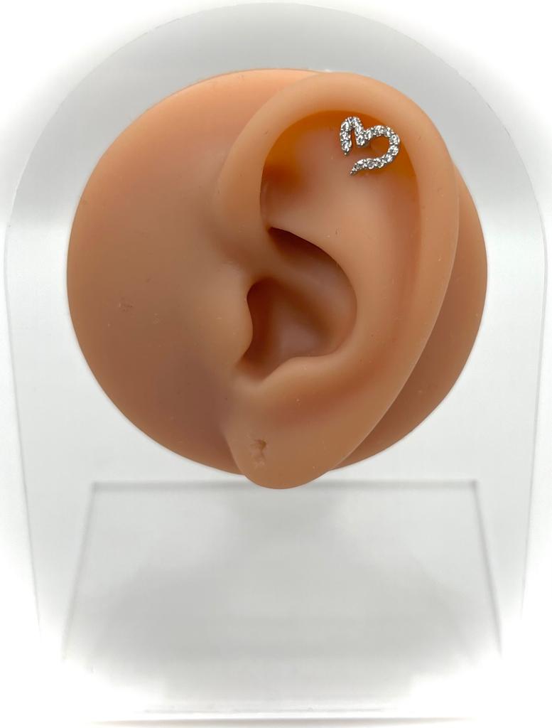 Areal Earring