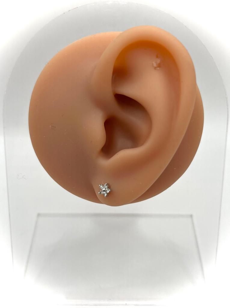 Taylor Earring