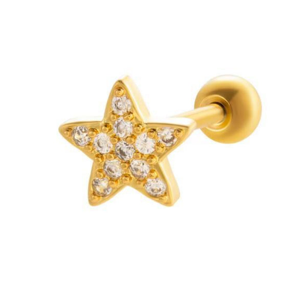 Starfish Earring